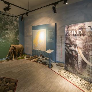 Museum Schokland maakt de geschiedenis zichtbaar
