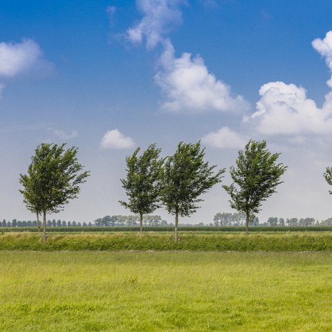 Droogmakerij de Beemster 037 © Stichting Werelderfgoed