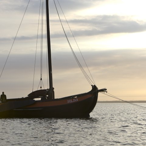 Waddenzee