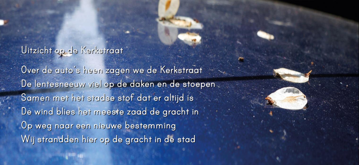 Gedicht 1 uit Iepenstad bron springsnow.nl